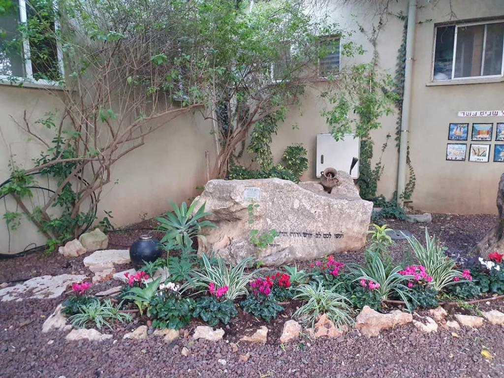 משתלה אמירים משתלה אמירים