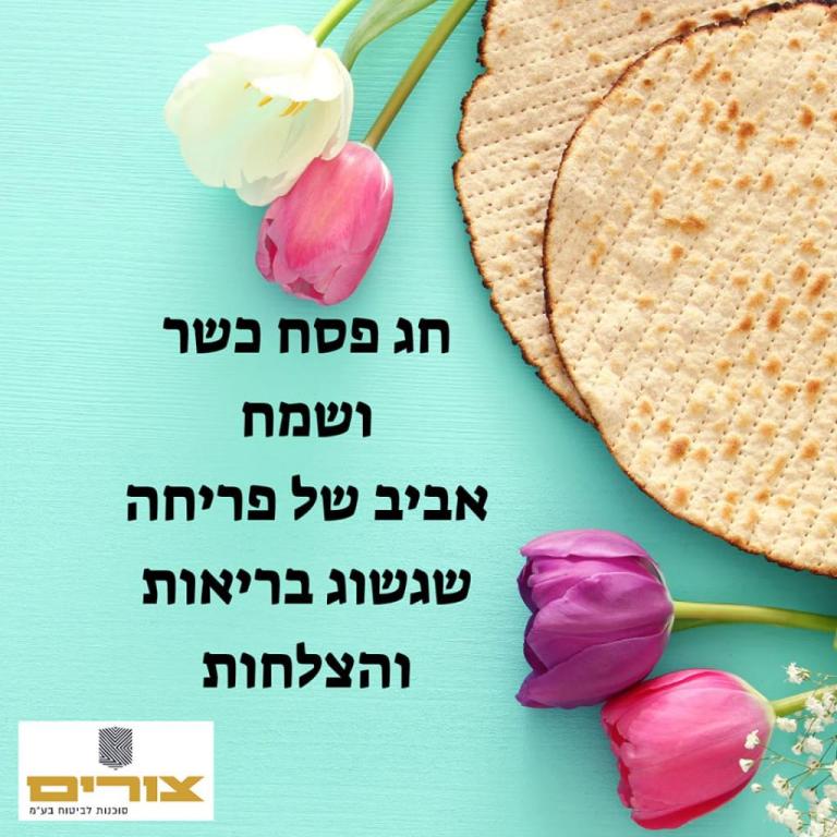 צורים סוכנות לביטוח צורים סוכנות לביטוח