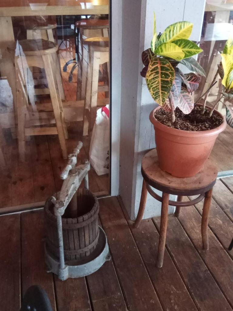 אלמגרו אלמגרו