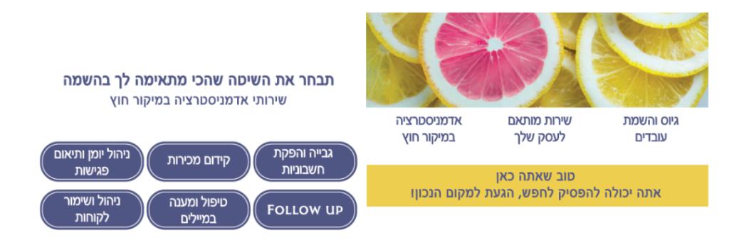 השמת איכות השמת איכות