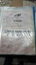הודיה מרכז לסוסים ואנשים
