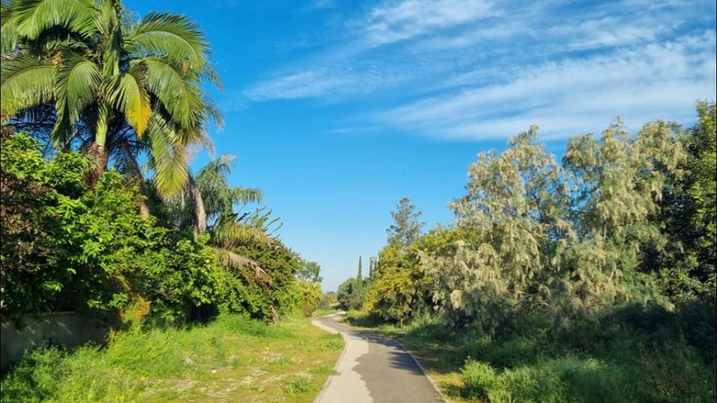 אבי לוי רואה חשבון אבי לוי רואה חשבון