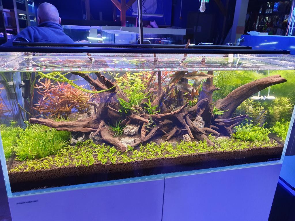 אקווריום סנטר אקווריום סנטר