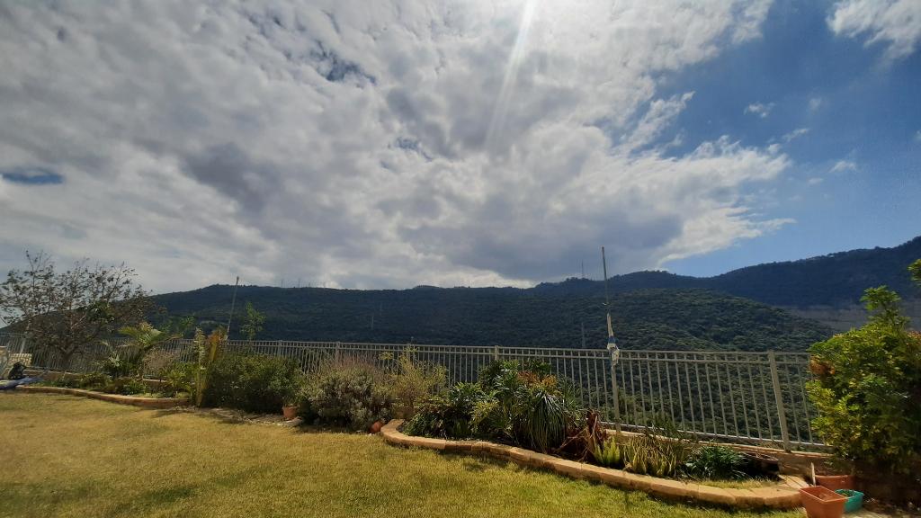 עדי אשד מנטל עדי אשד מנטל