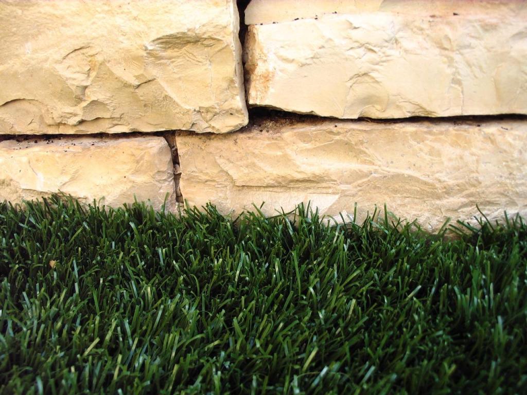 שתיל ואבן שתיל ואבן