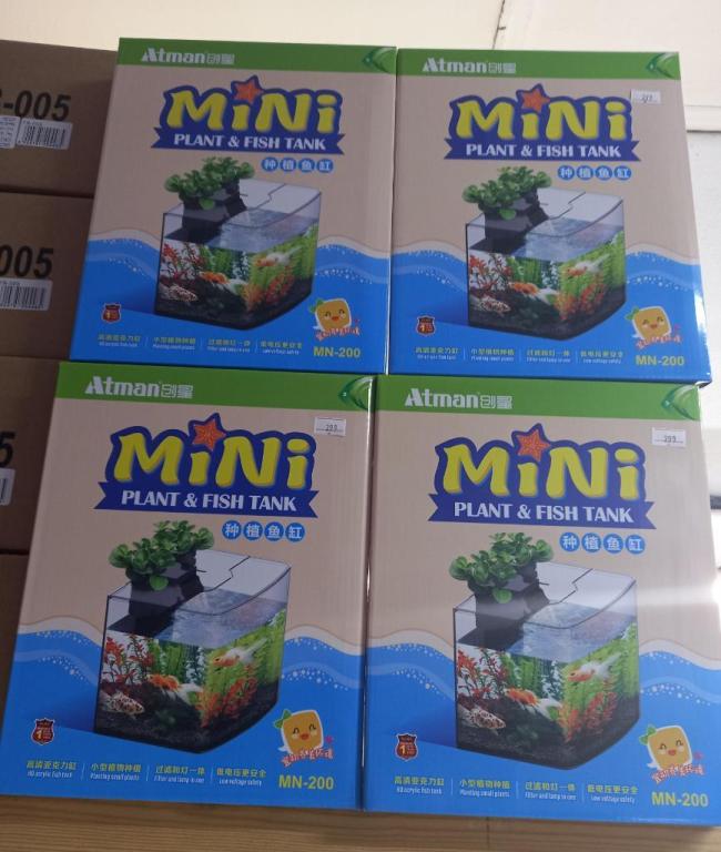 דיאקנטוס דיאקנטוס