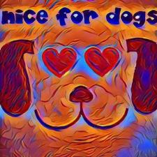 nice for dogs