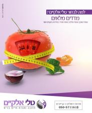 טלי אלקיים