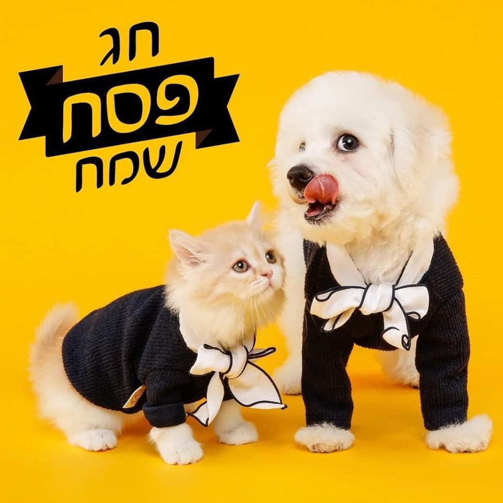 חייאתי חייאתי