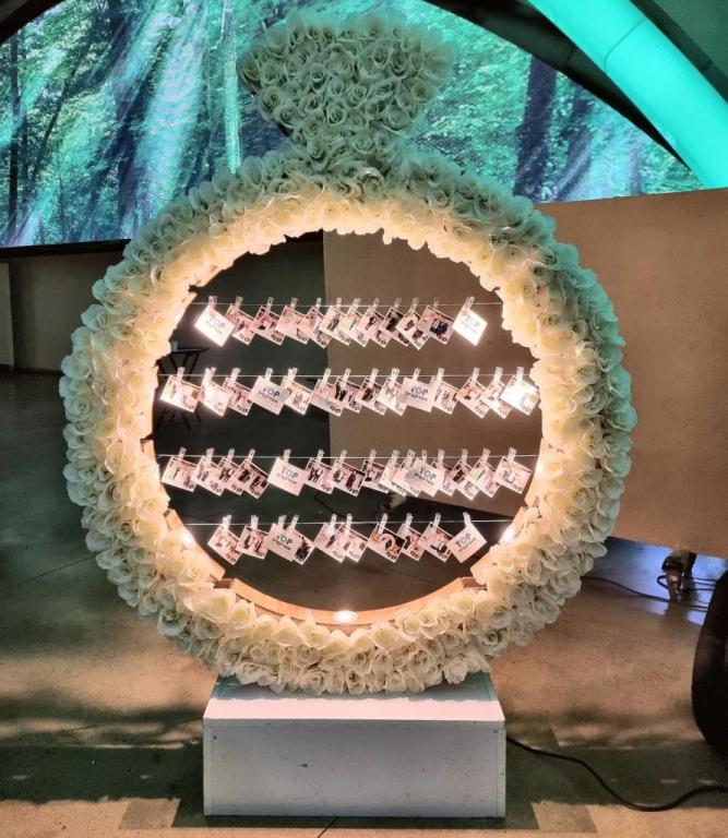 טופ אטרקציה טופ אטרקציה