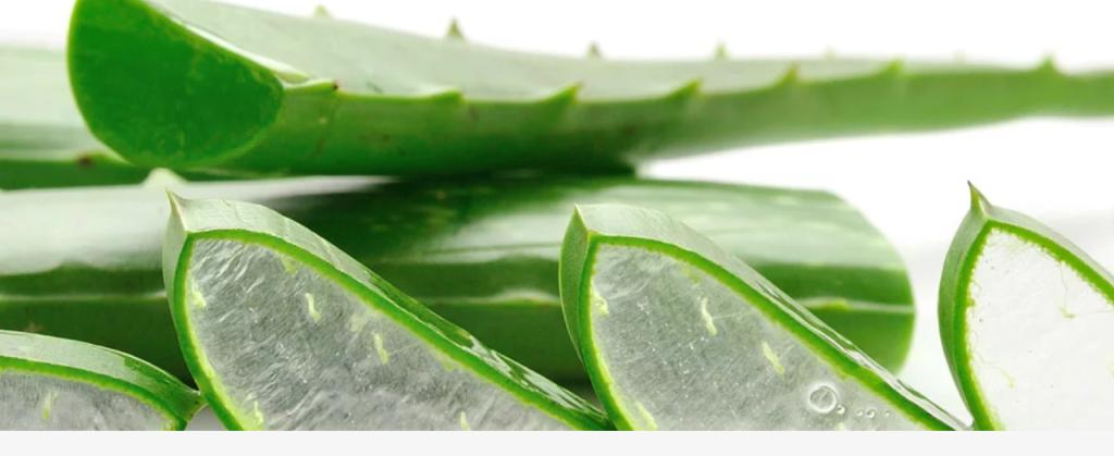 Forever natural success Forever natural success