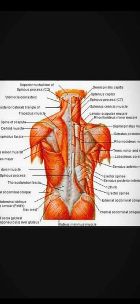 מסאג' מעודד מסאג' מעודד