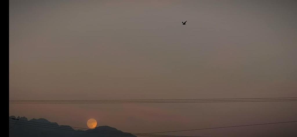 מסאג' מעודד מסאג' מעודד