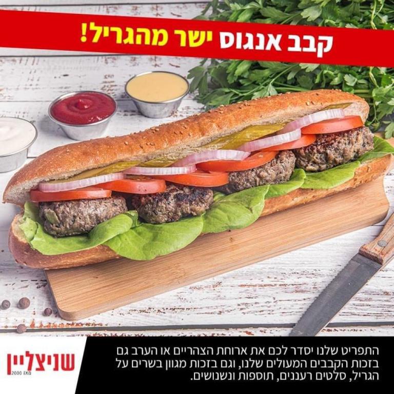 שניצליין שניצליין