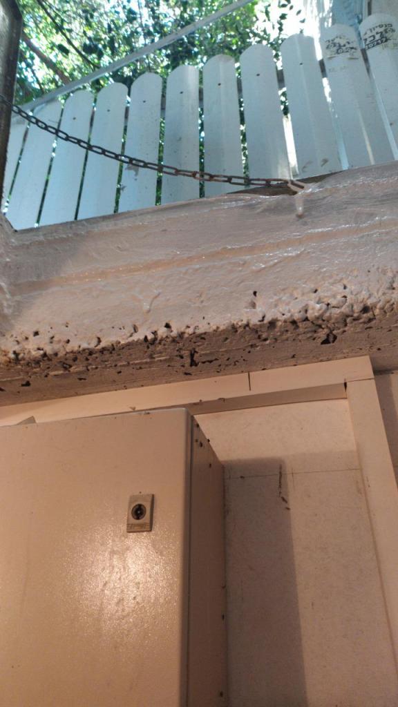 שחר התיקונצייק שחר התיקונצייק