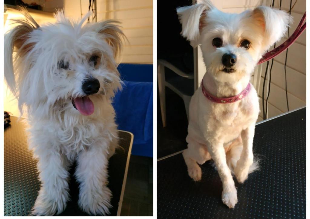 בובה'לה בובה'לה