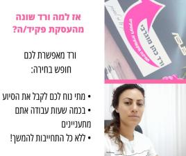 ורד כהן מוגרבי