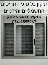 איזי התריסאי