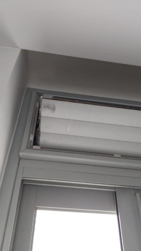 איזי התריסאי איזי התריסאי