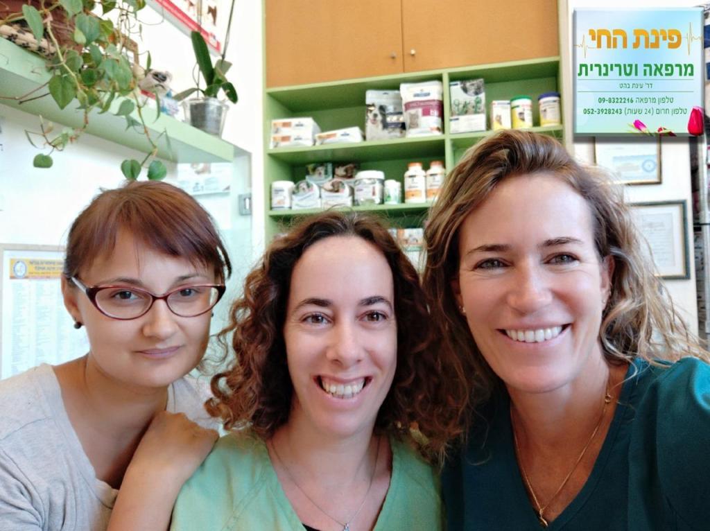 פינת החי מרפאה וטרינרית פינת החי מרפאה וטרינרית