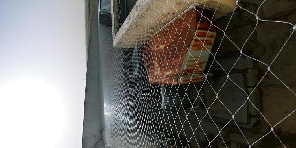 גמא מטרדי ציפורים ופרויקטים גמא מטרדי ציפורים ופרויקטים