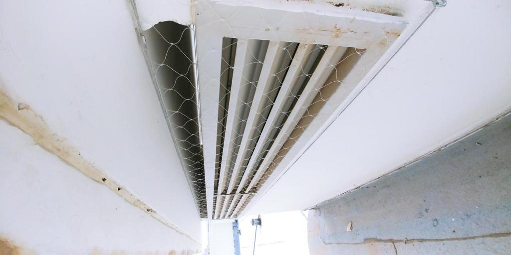 גמא מטרדי ציפורים ופרויקטים גמא מטרדי ציפורים ופרויקטים