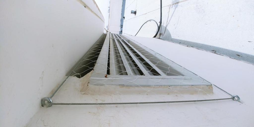 גמא מטרדי ציפורים ופרויקטים גמא מטרדי ציפורים ופרויקטים