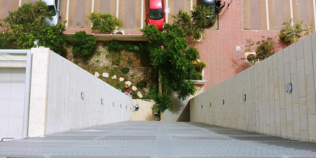 גמא מטרדי ציפורים ופרויקטים גמא מטרדי ציפורים ופרויקטים