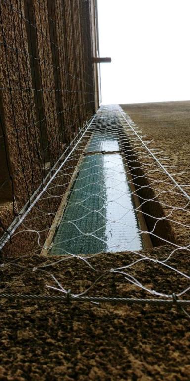 גמא מטרדי ציפורים ופרויקטים גמא מטרדי ציפורים ופרויקטים