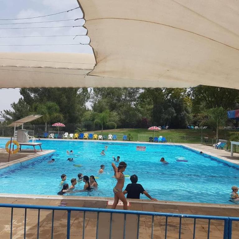 בריכת שחייה מושב טל שחר בריכת שחייה מושב טל שחר