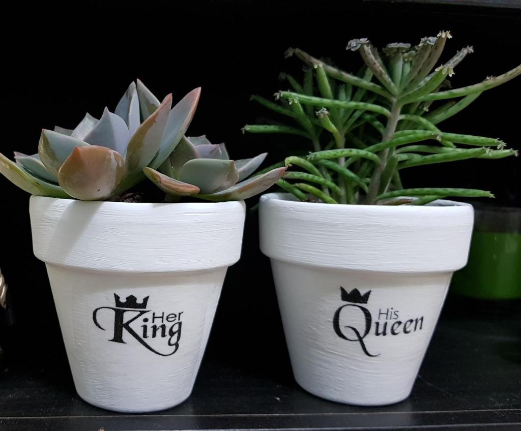 עציצי ברכה במיתוג אישי עציצי ברכה במיתוג אישי