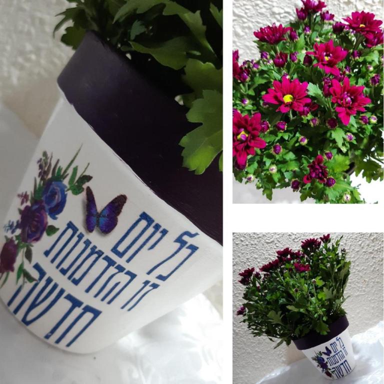 עציצי ברכה במיתוג אישי עציצי ברכה במיתוג אישי