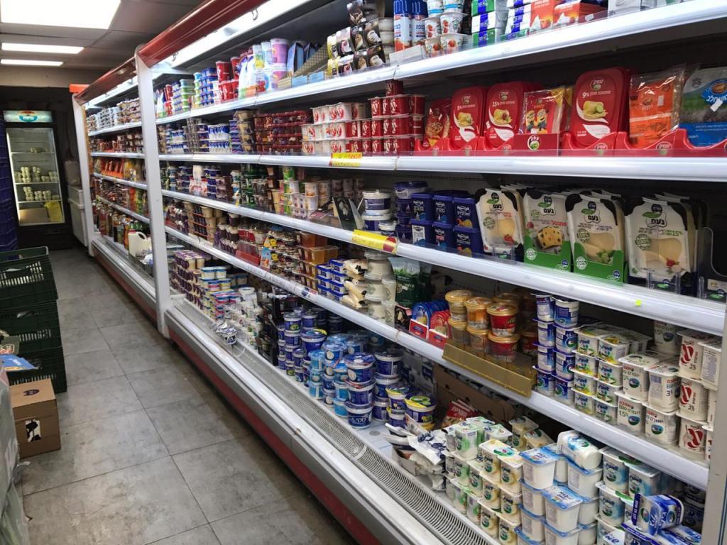 תהילה לדוד תהילה לדוד