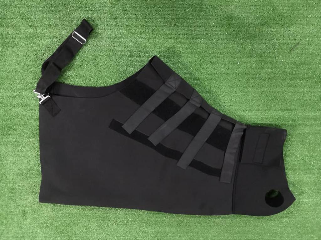 Animals Center מרכז החיות Animals Center מרכז החיות