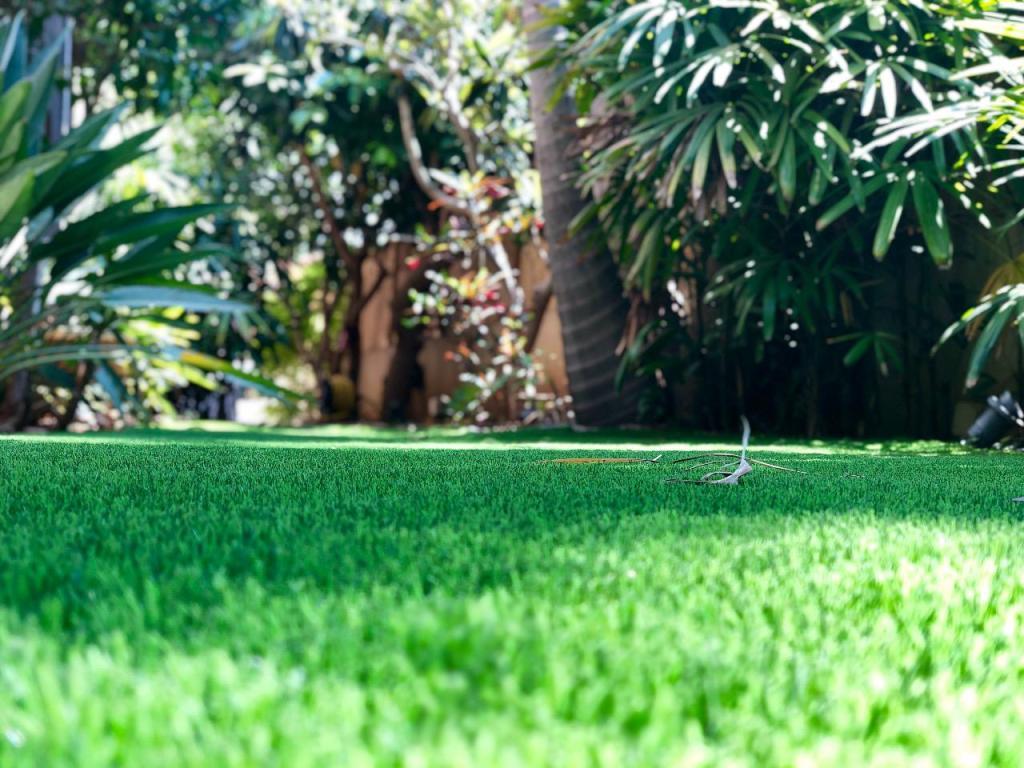 מג'יק דשא מג'יק דשא