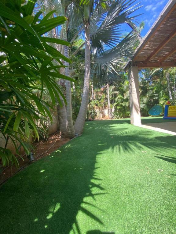 מג'יק דשא מג'יק דשא