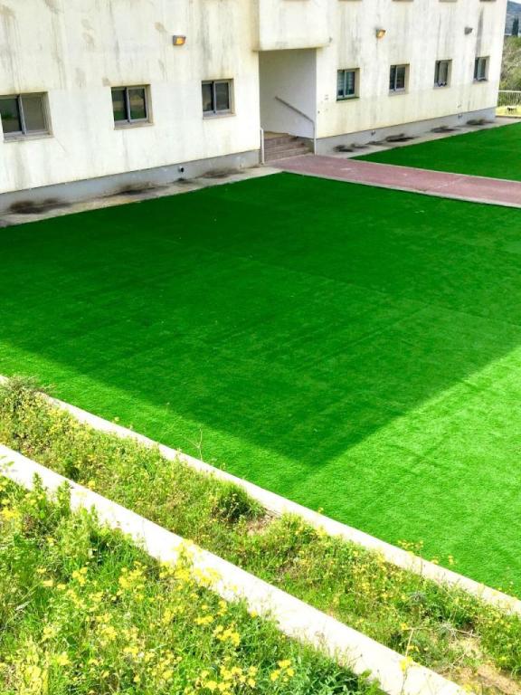 מג'יק דשא מג'יק דשא