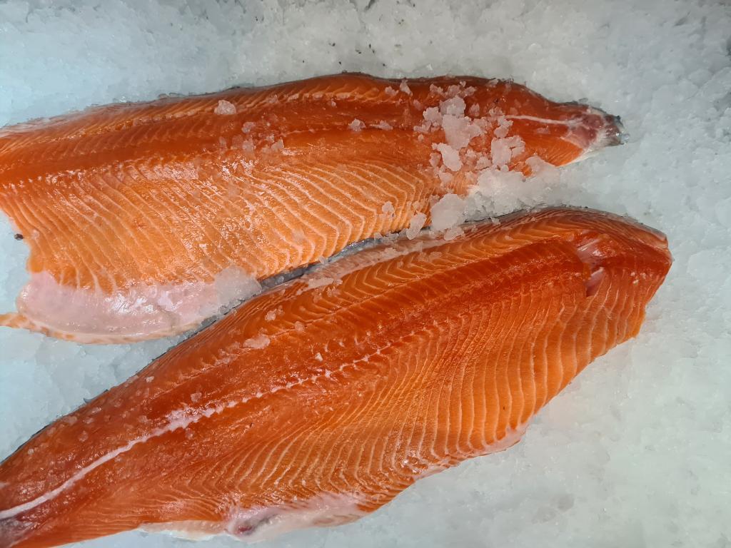 דגי .א דורית דגים דגי .א דורית דגים