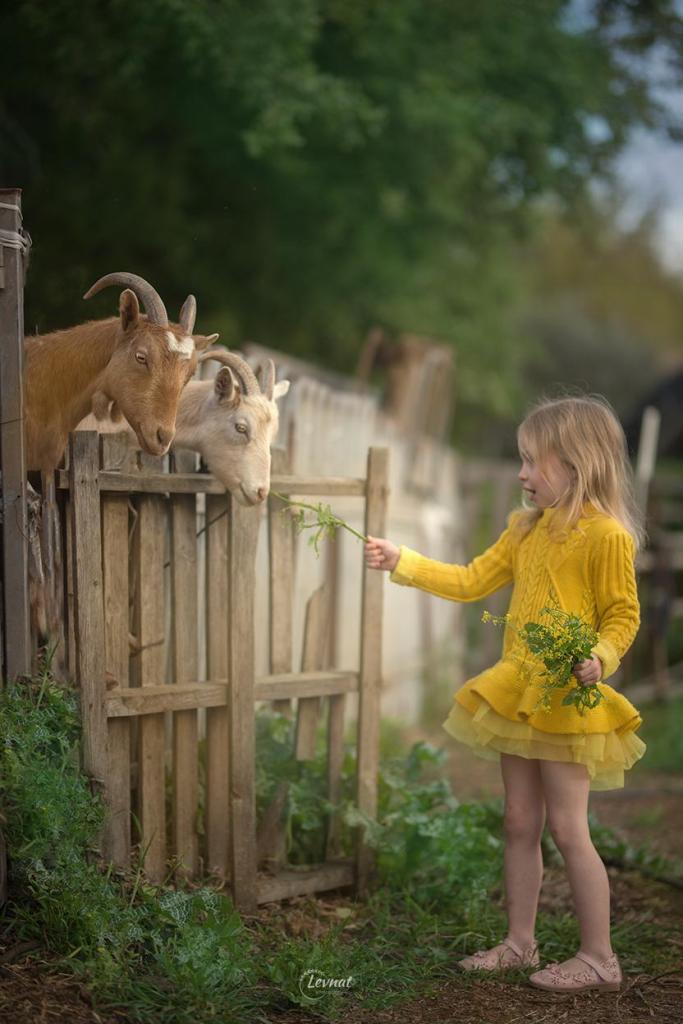 Levnat Photograpy Levnat Photograpy