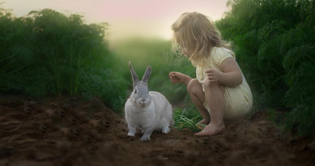 Levnat Photograpy Levnat Photograpy