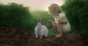 Levnat Photograpy
