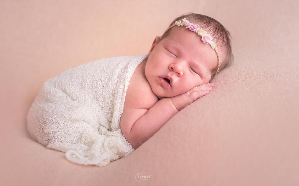 Levnat Photograpy Levnat Photograpy