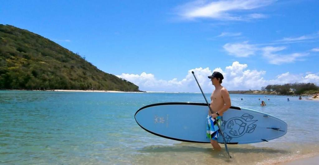 דיפסי ייבוא גלשני סאפ וסופט דיפסי ייבוא גלשני סאפ וסופט