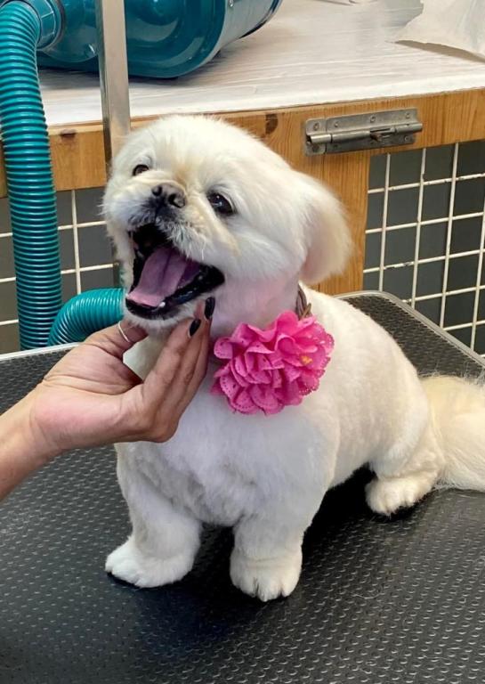 אורית הספרית אורית הספרית