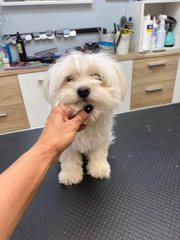 אורית הספרית אורית הספרית