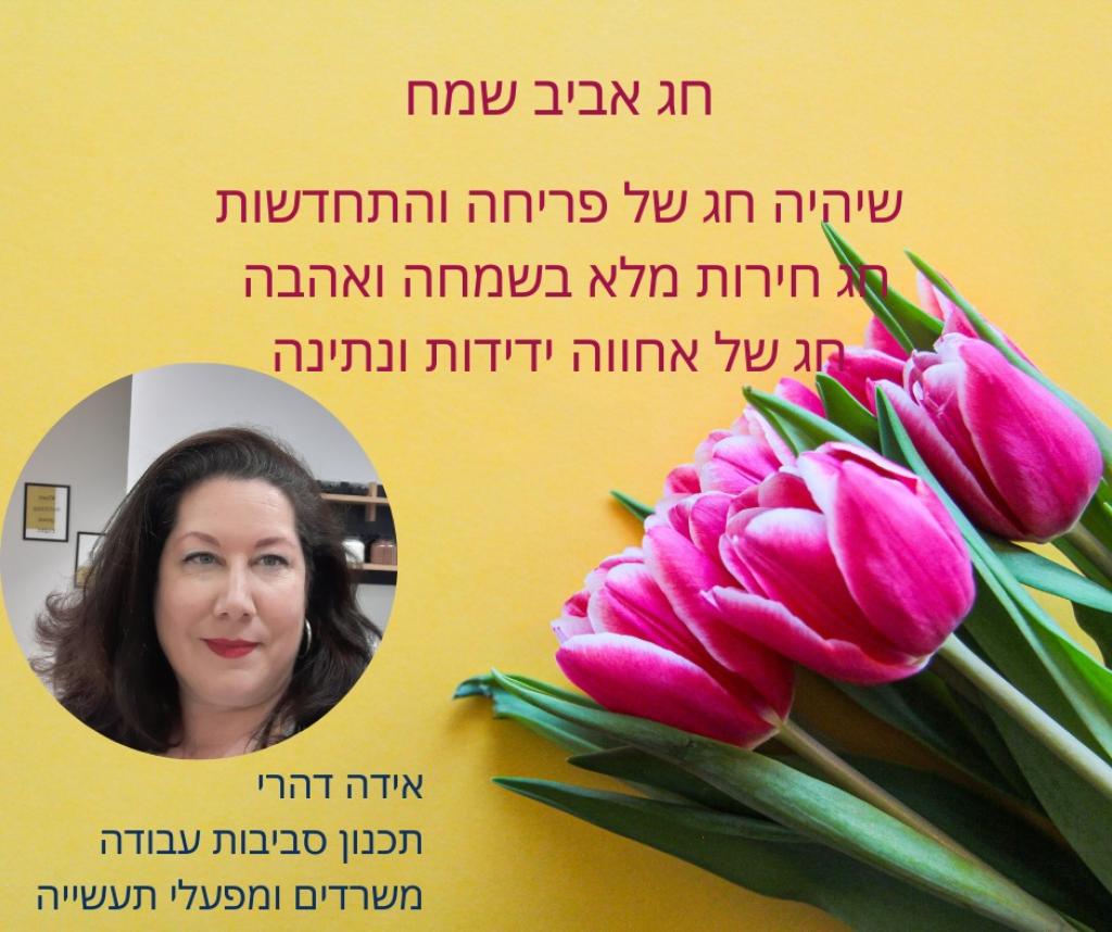 אידה דהרי תכנון ועיצוב פנים לעסקים אידה דהרי תכנון ועיצוב פנים לעסקים