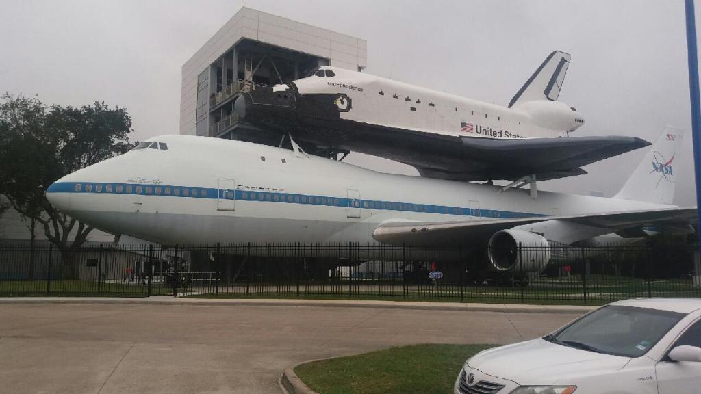 שקדי צבי שקדי צבי