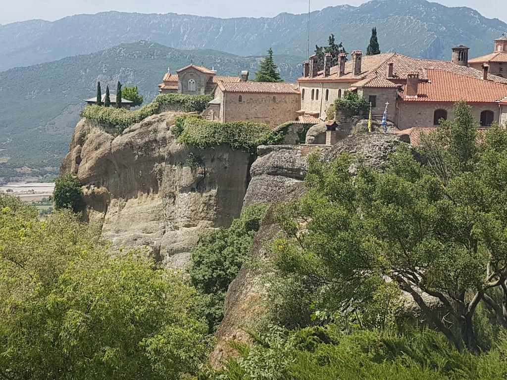 שקדי צבי שקדי צבי