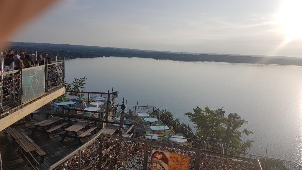 שקדי צבי שקדי צבי