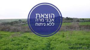 בית המרפא של חן ושני